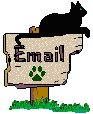 chat et mail